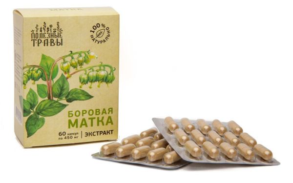 Изображение товара Боровая матка растительный экстракт Пчела и Человек 60 капсул Боровая матка растительный экстракт Пчела и Человек 60 капсул фотография